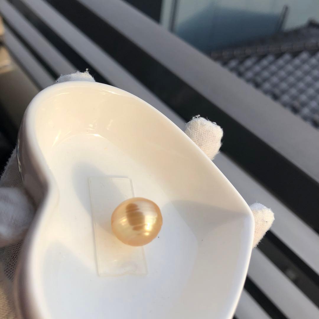 本真珠　大粒　南洋ゴールドパール　オーダー確認ページSH28