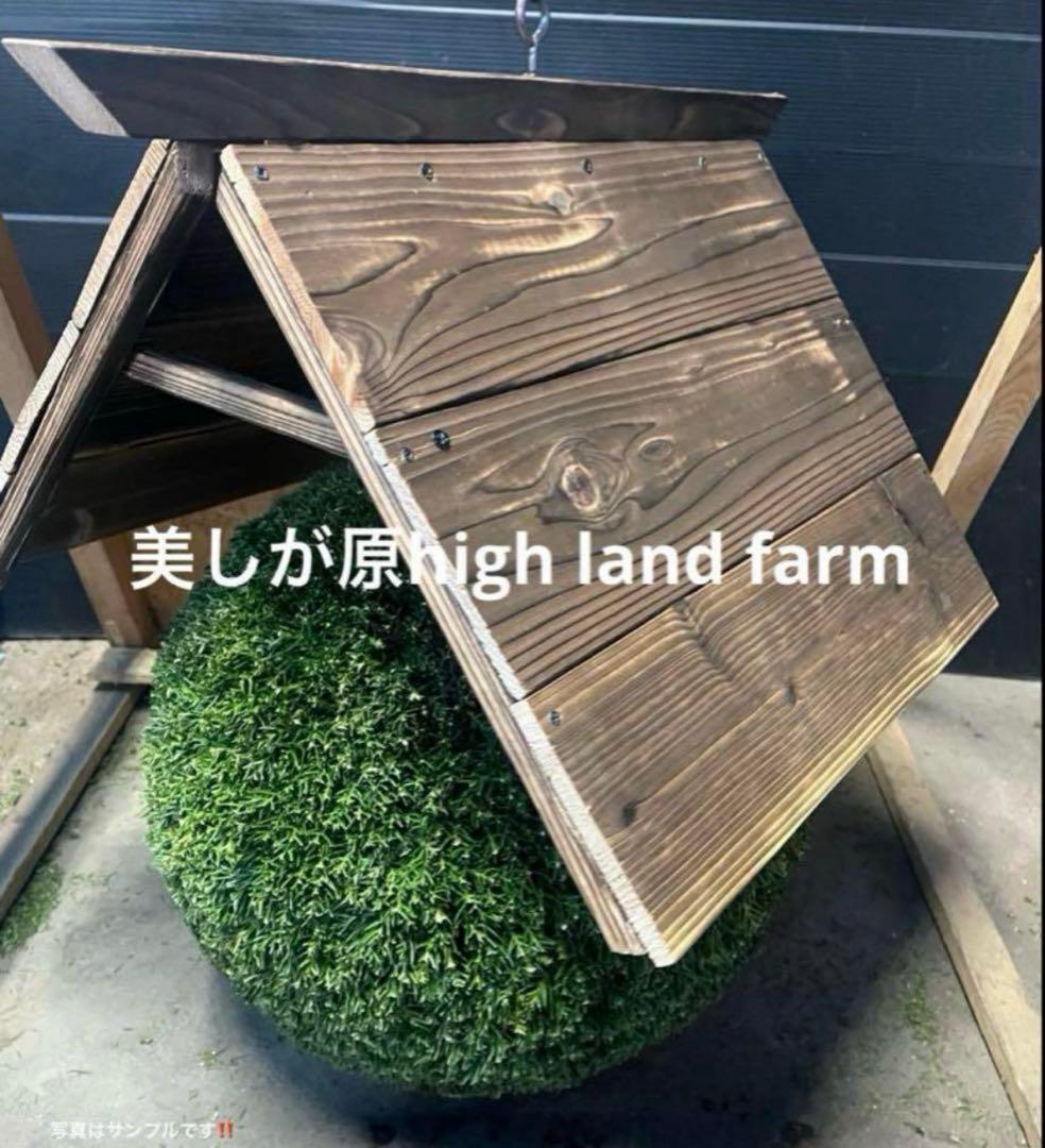 杉玉　約25センチ‼️屋根付き　お客様ご注文品♪