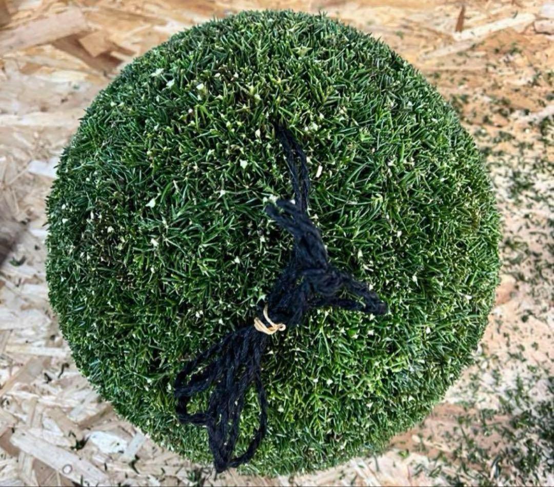 杉玉　約25センチ‼️屋根付き　お客様ご注文品♪