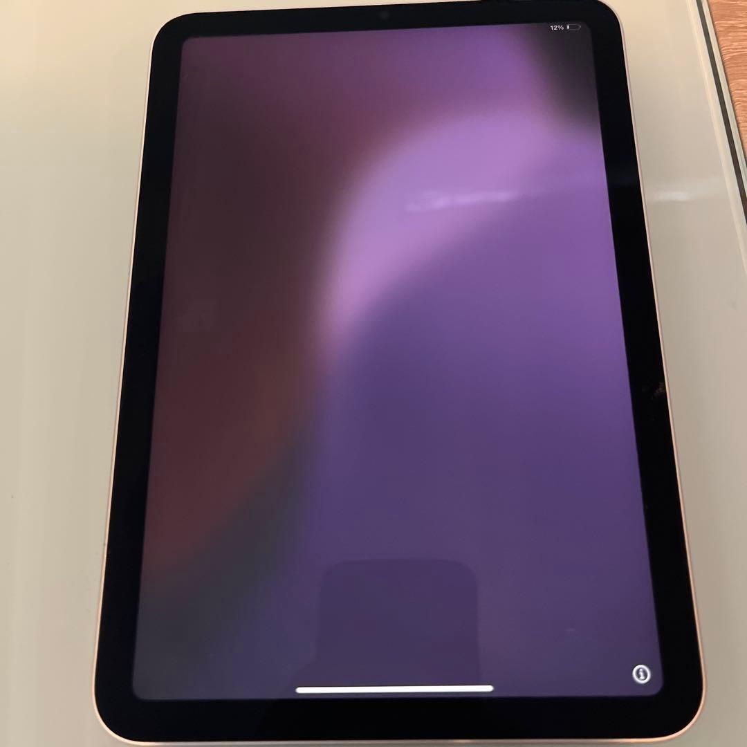 Apple pencil付き2021 Apple iPad mini