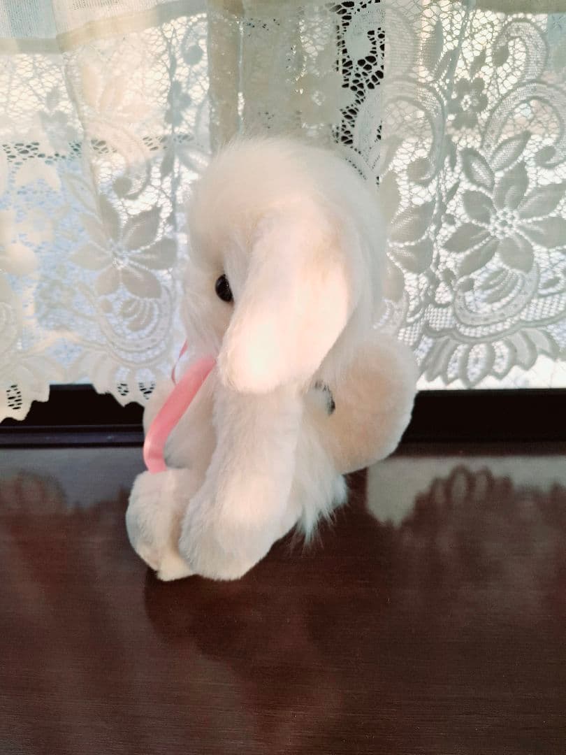 3.ぬいぐるみ、テディマルチーズ、犬、ハンドメイド、オリジナル、白