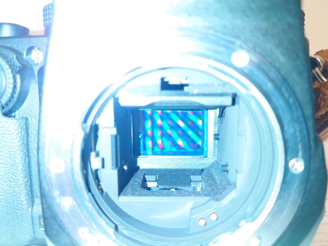 PENTAX KP ＆ TAMRON 28-200 f3.8-5.6 MACRO