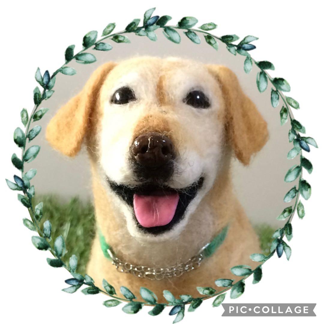 羊毛フェルト　オーダー確認用①