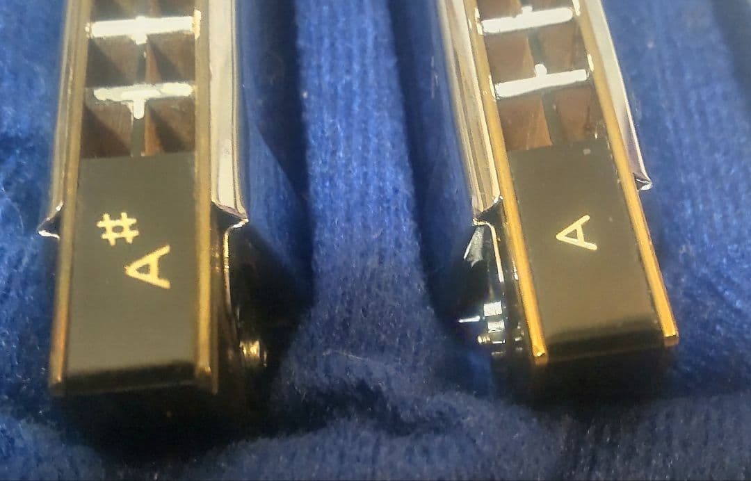 TOMBO ホームバンド デラックス21穴 6本セット キー違い複音ハーモニカ