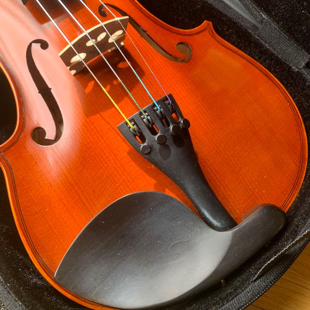 【希少】Andreas Eastman VL80 4/4 バイオリン 2018