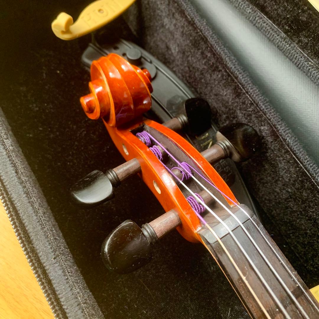 【希少】Andreas Eastman VL80 4/4 バイオリン 2018