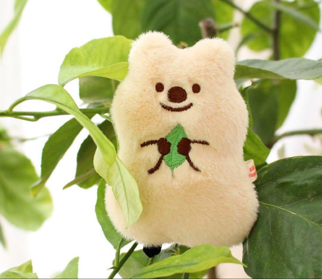 KIKI QUOKKA キキクオッカ　キキハピ　ミックスセット　【ラスト1】