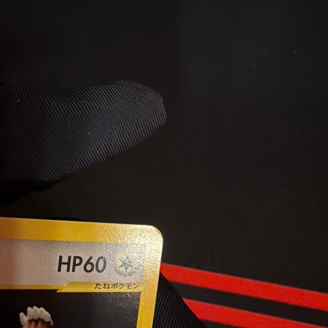 vs シバのリングマ（Ursaring）　085/141 1ED