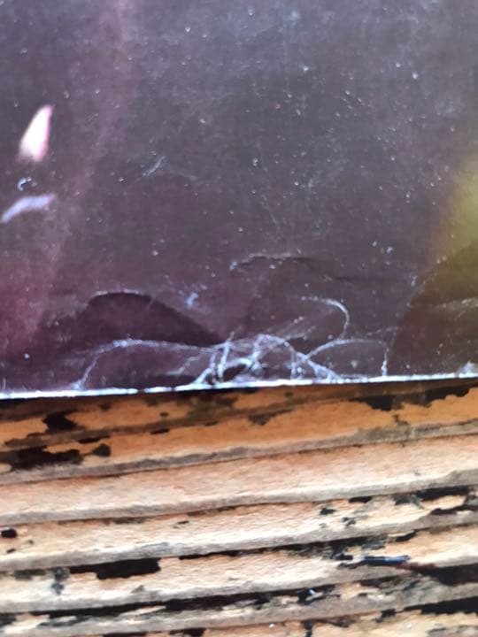 1972年　ヴィンテージ　ウーマンリブ　ポスター