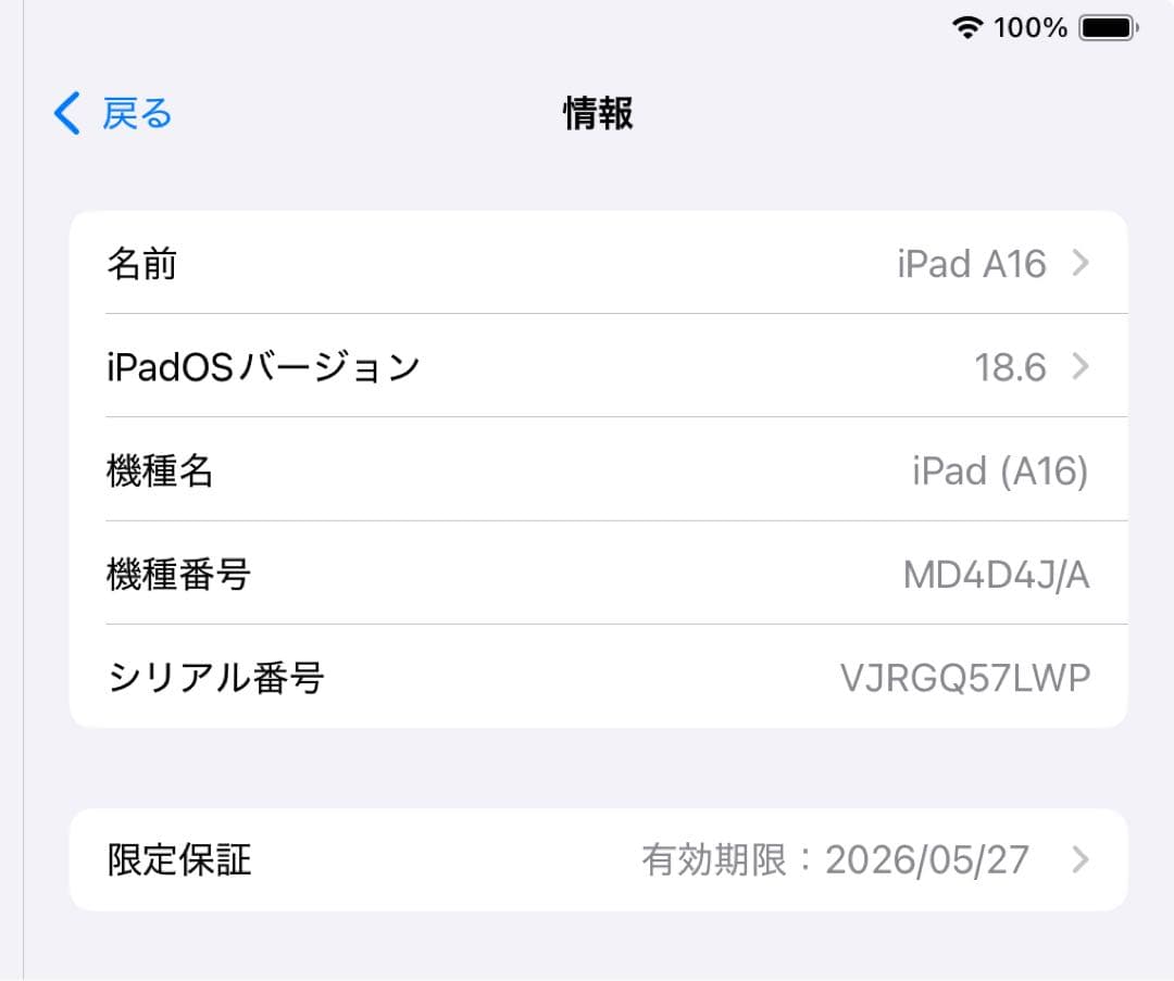 Apple iPad (A16) 本体 充電器・ケーブル付き