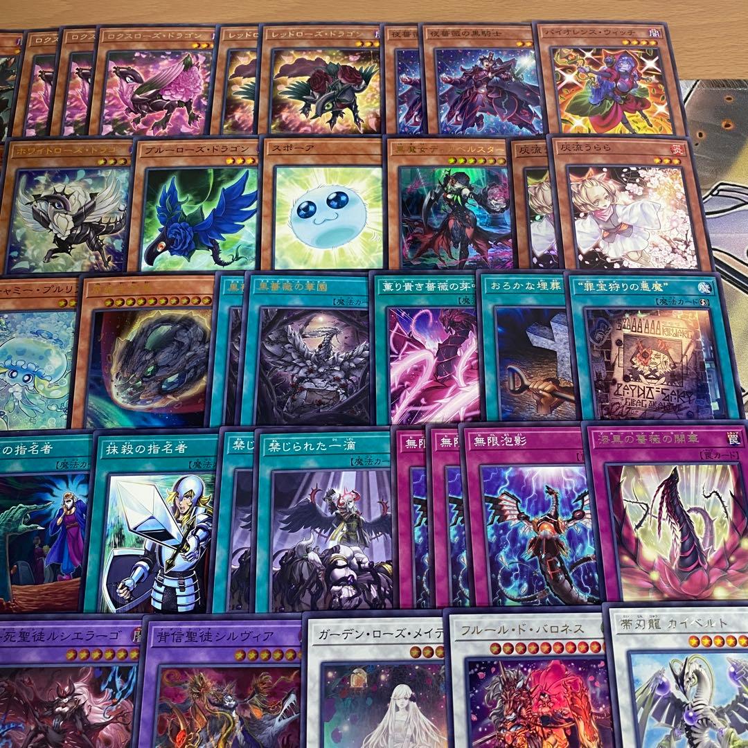 本格構築 ブラックローズドラゴン デッキ 黒薔薇の破滅竜 ブラッドローズドラゴン