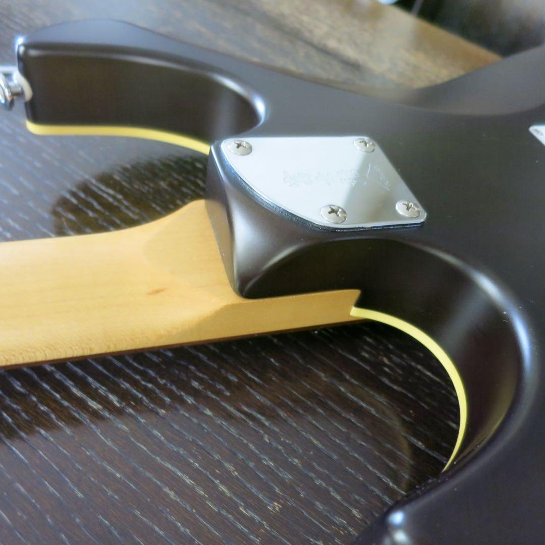 激レアなコラボギター / FUJIGEN(FGN) MJOS-R-FM