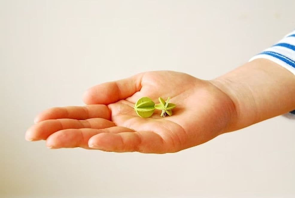 ◾新品未開封品◾lovi ロヴィ 白樺のツリー モミの木 +ミニボール2種セット