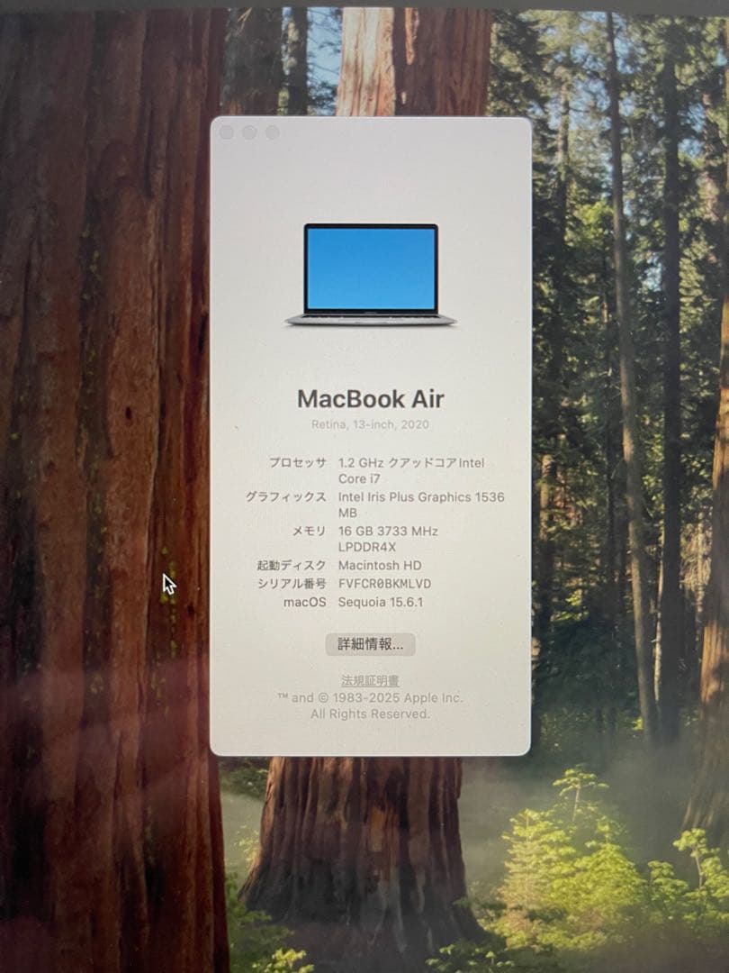 Apple MacBook Air (Intel i7, メモリ16GB）