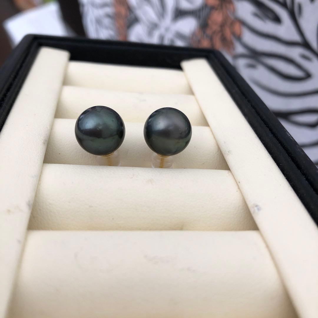 年末感謝セール　黒蝶真珠ピアスLN6