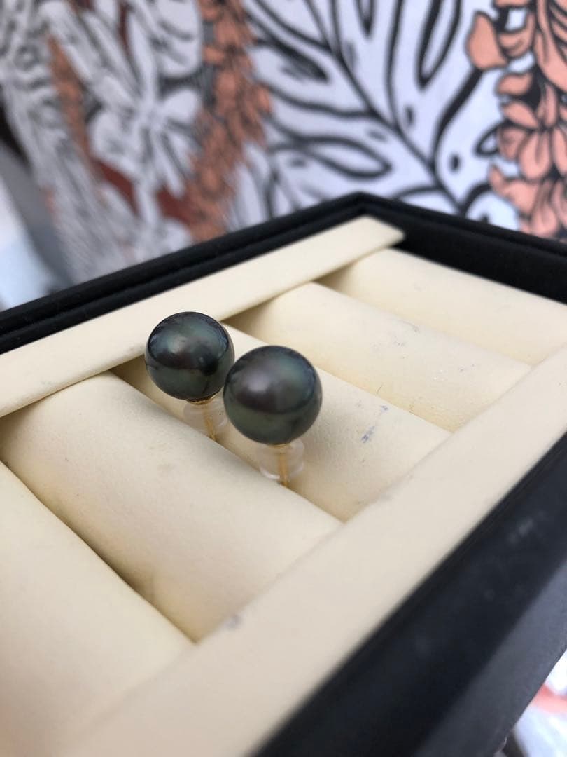 年末感謝セール　黒蝶真珠ピアスLN6