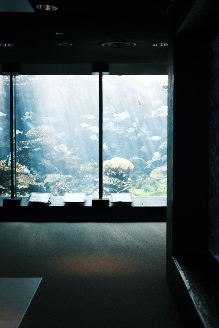 Fujifilm X100T シルバー