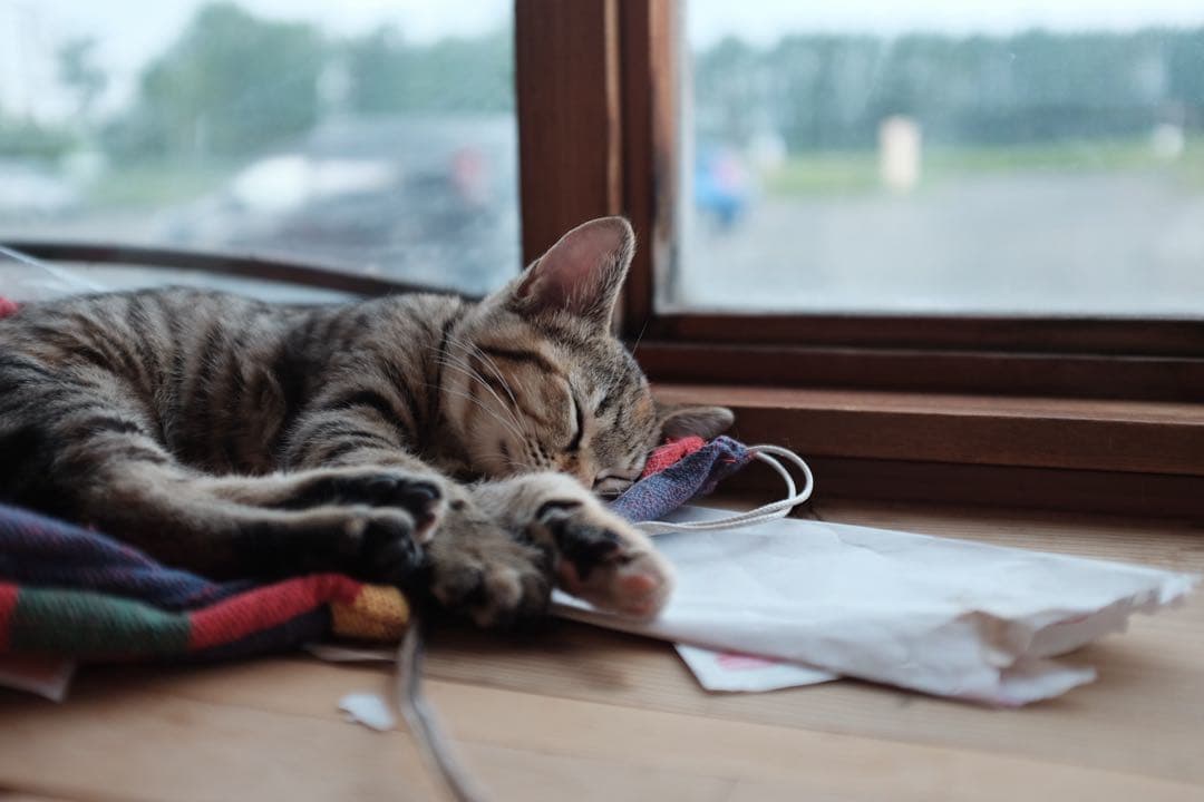 Fujifilm X100T シルバー