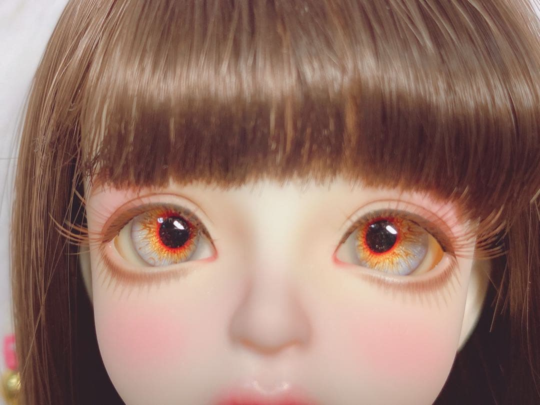 DOLK × myoudoll 文学少女 zuzana