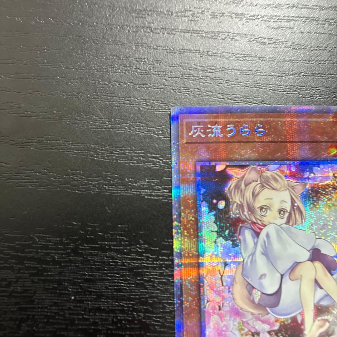 遊戯王　灰流うらら　絵違い　プリズマティックシークレットレア2枚