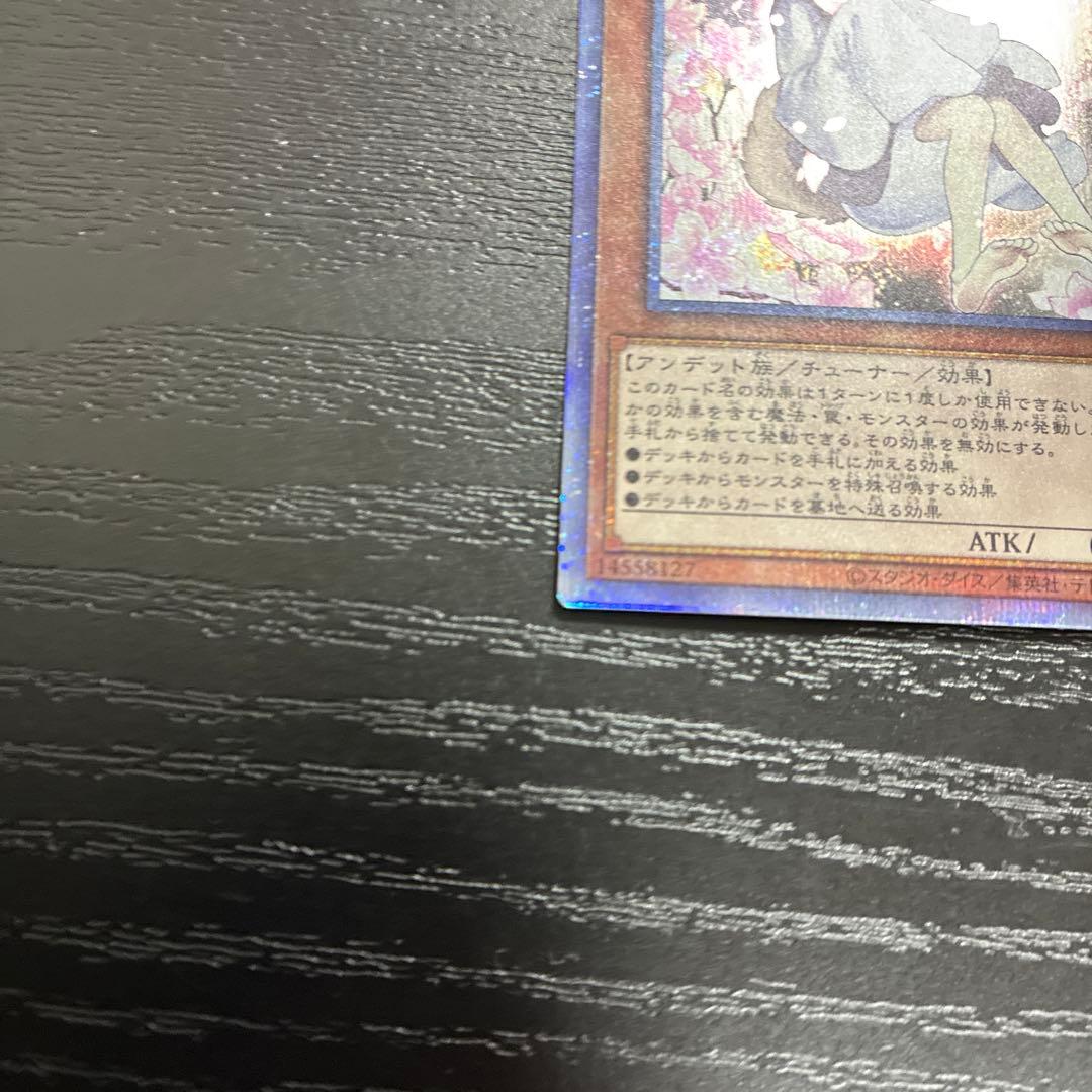 遊戯王　灰流うらら　絵違い　プリズマティックシークレットレア2枚