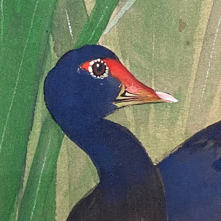 超限定6月4日20時迄 ‼️富山作　杜若に水鳥　掛け軸　絹本肉筆署名落款合わせ桐箱