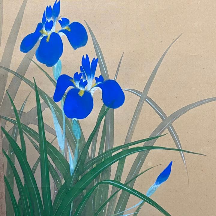 超限定6月4日20時迄 ‼️富山作　杜若に水鳥　掛け軸　絹本肉筆署名落款合わせ桐箱