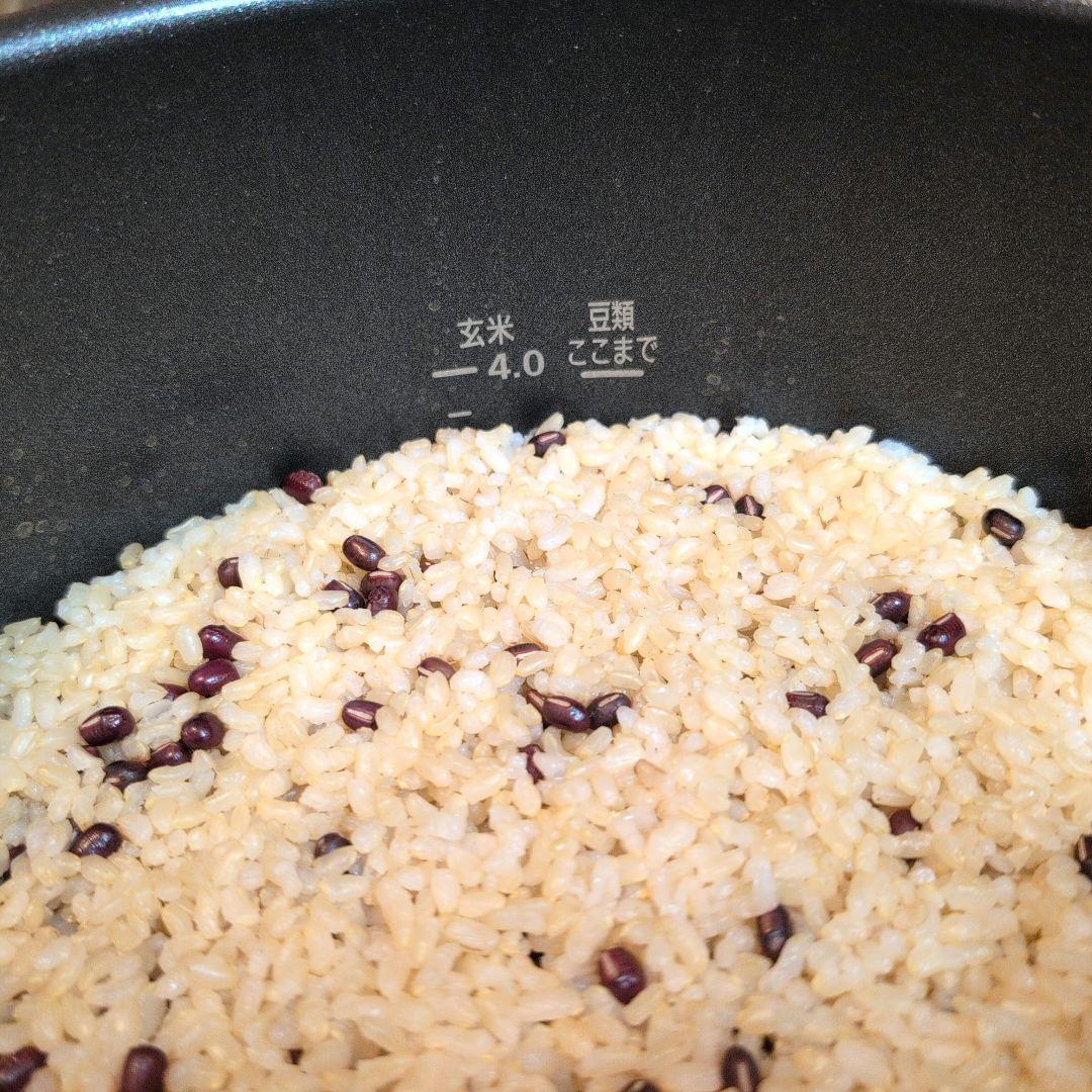 動作確認済み アイリスオーヤマ 電気圧力鍋 PMPC-MA4-B 黒 数回使用