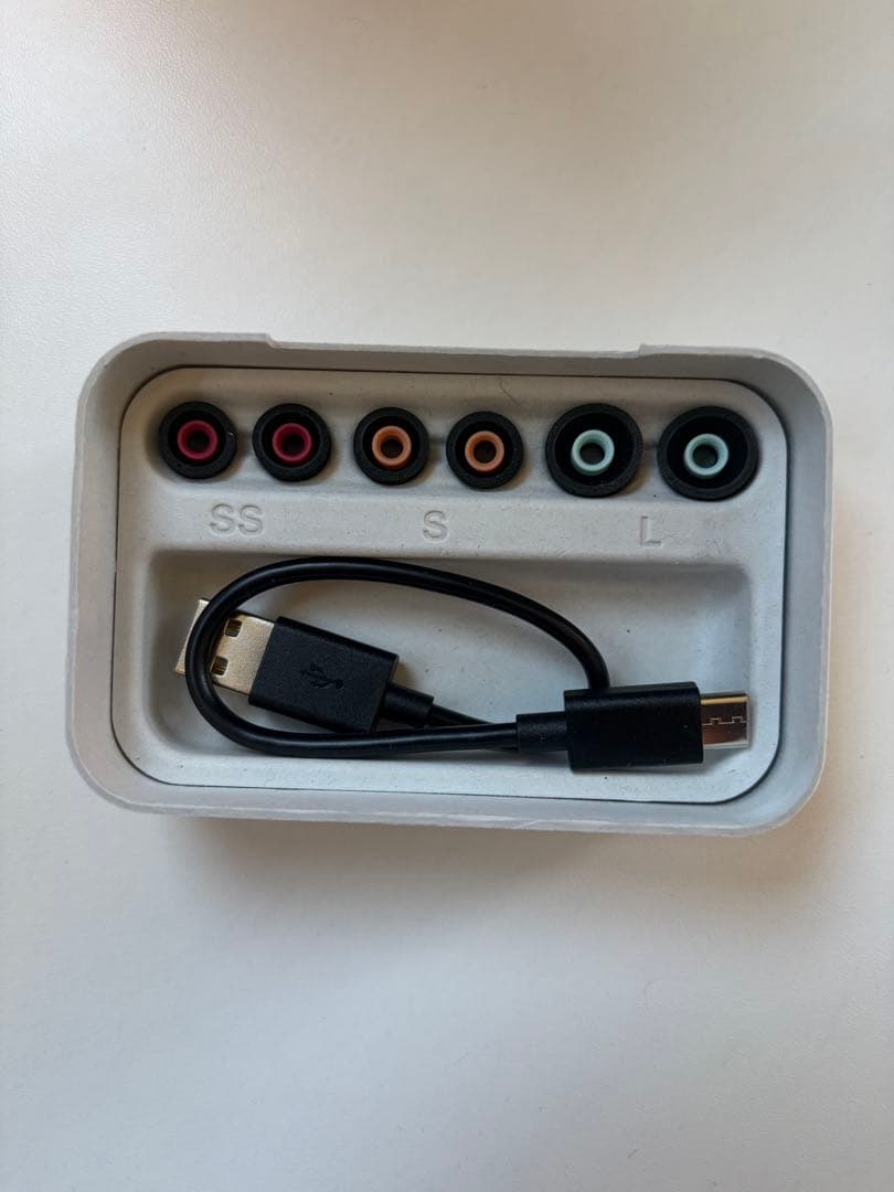 ソニー WF-1000XM5 ブラック 付属品完備 ワイヤレスイヤホン SONY