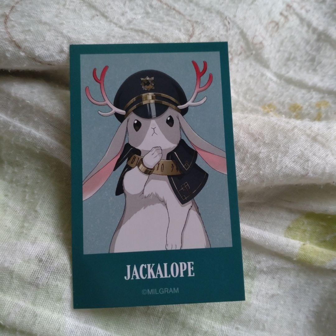 ミルグラム エス ジャッカロープ