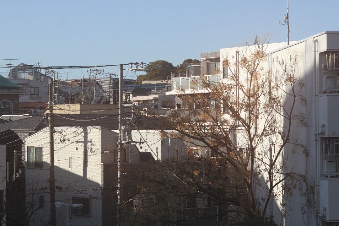 Canon EF28-70mm F2.8 L USM ズームレンズ フード 箱付