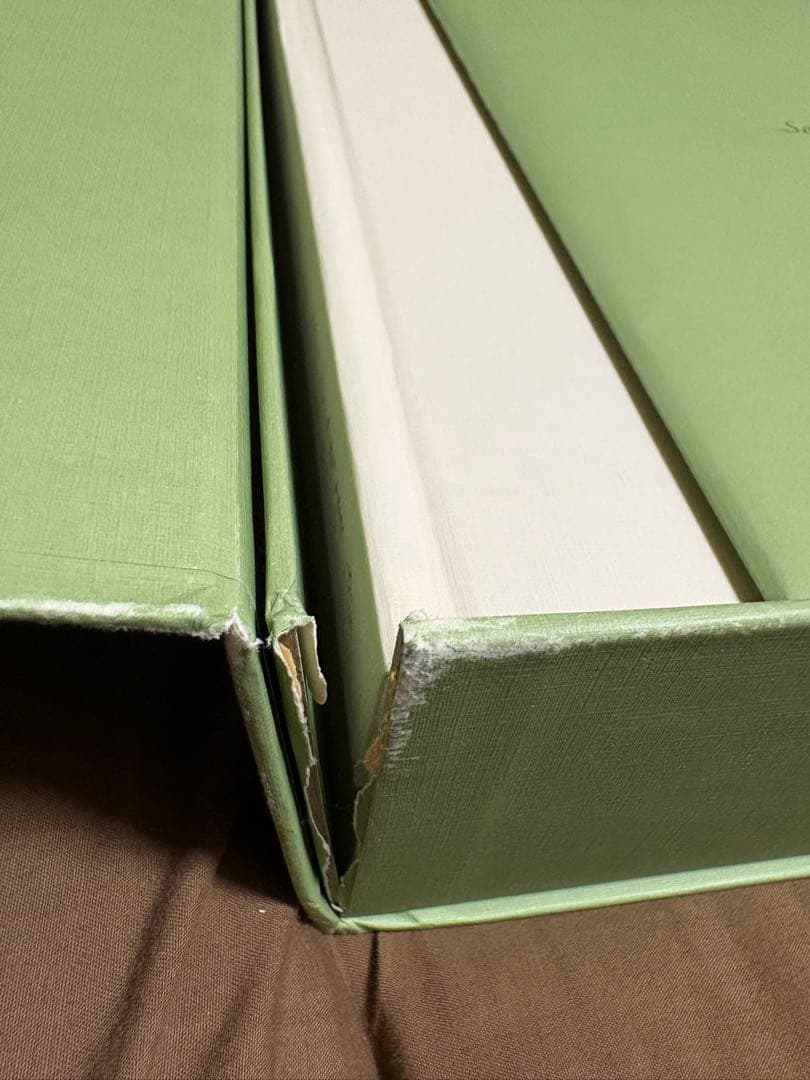 アイドル Social Club SEVENTEEN carat