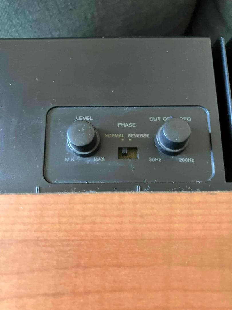 SONY アクティブ サブウーファー SA-WM500