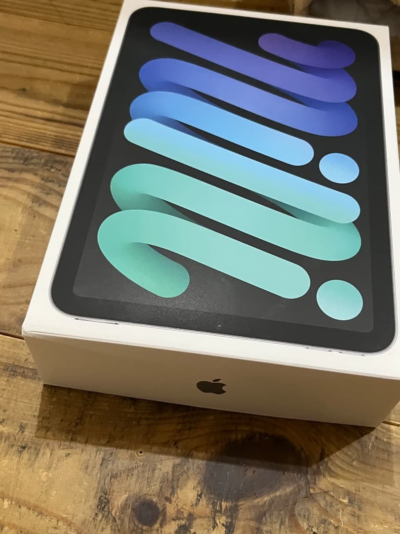 も*ん様 iPadmini　A17pro　256gb　スペースグレイ アップルケ