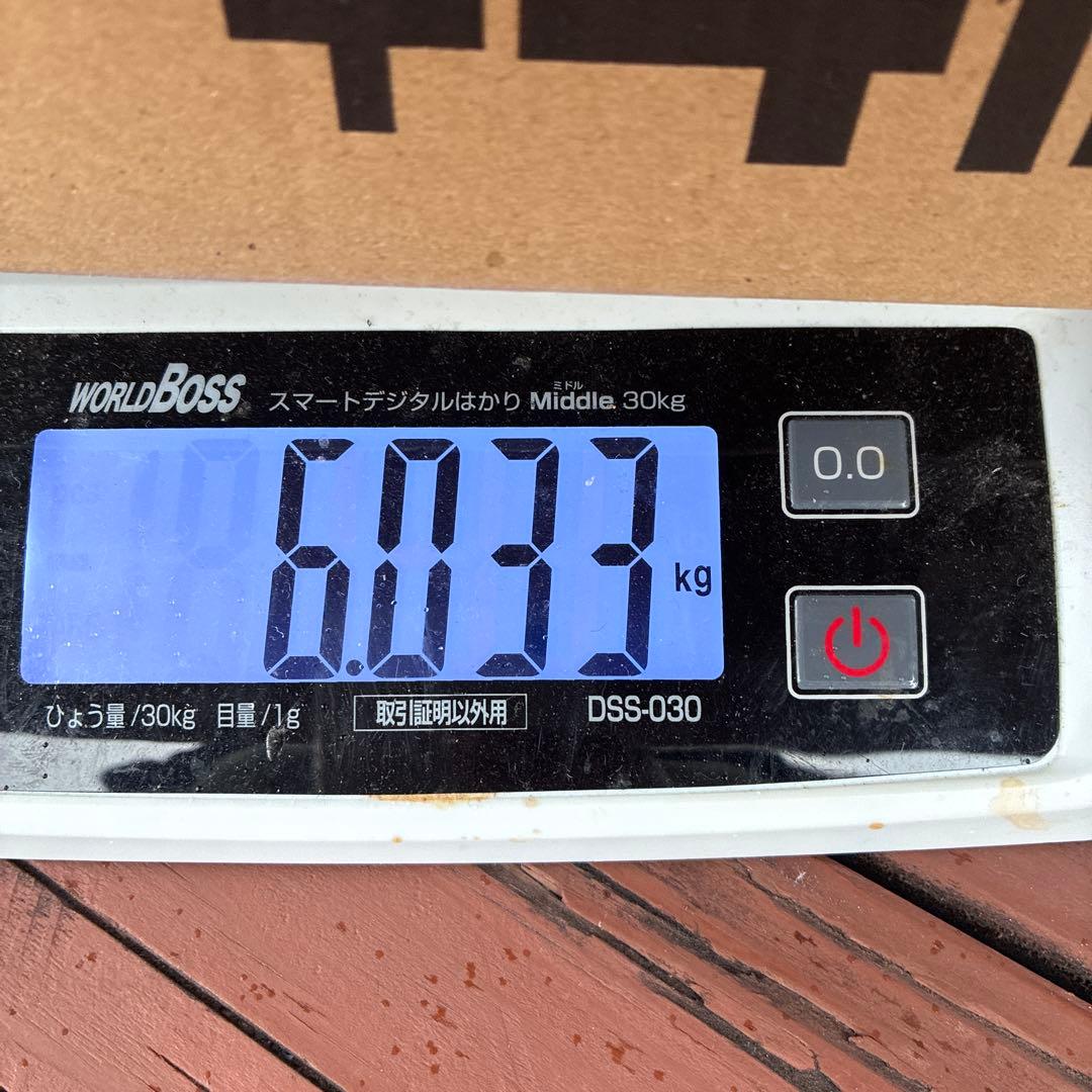 摘果マンゴー　グリーンマンゴー　very verve small 小さい