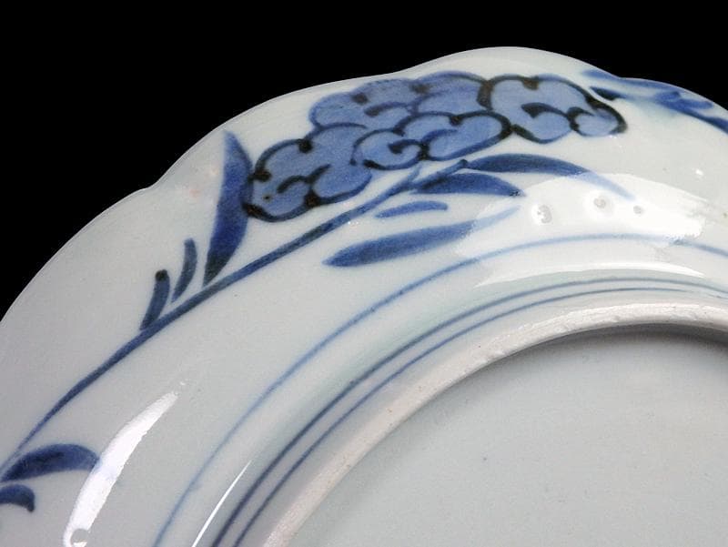 古伊万里　染付　菊花四方襷紋に若松の図　６寸皿　A361A-fbva