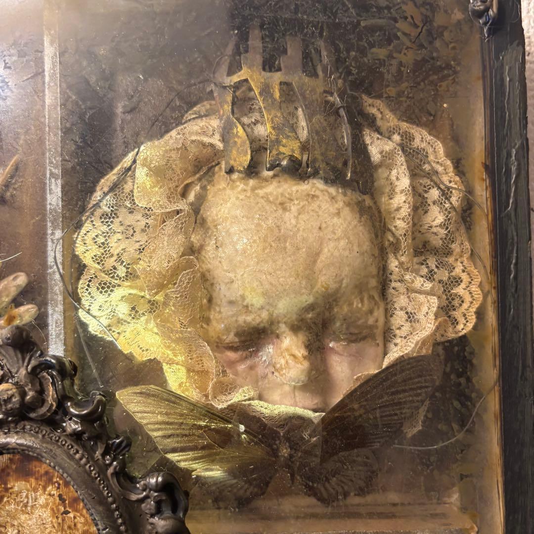 【Special Price】 幼女解剖学オブジェ