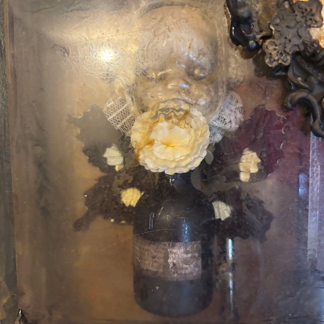 【Special Price】 幼女解剖学オブジェ