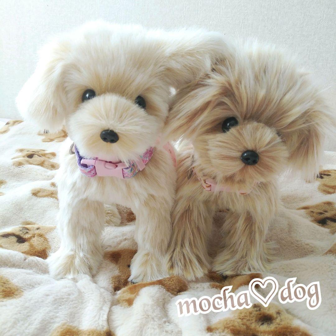 ＊mocha♡dog ＊ mixdog(S)☆ぬいぐるみわんこ 犬　ハンドメイド
