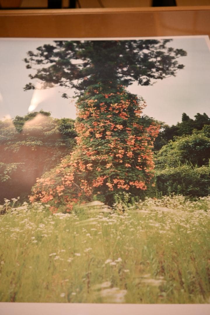 石川直樹 ポスター 能登・珠洲 x 3点