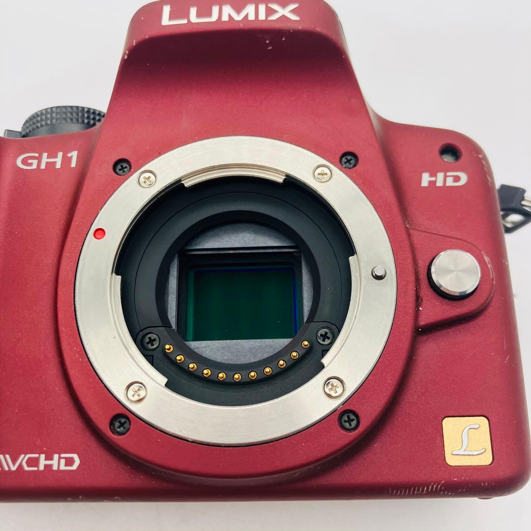 【動作確認済み】Panasonic LUMIX DMC-GH1 バッテリーなし