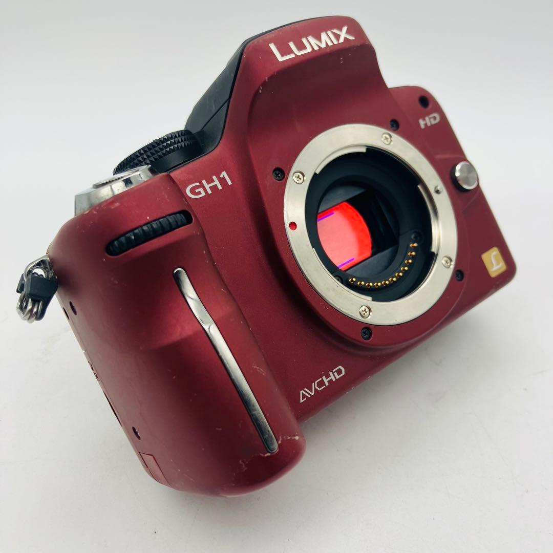 【動作確認済み】Panasonic LUMIX DMC-GH1 バッテリーなし