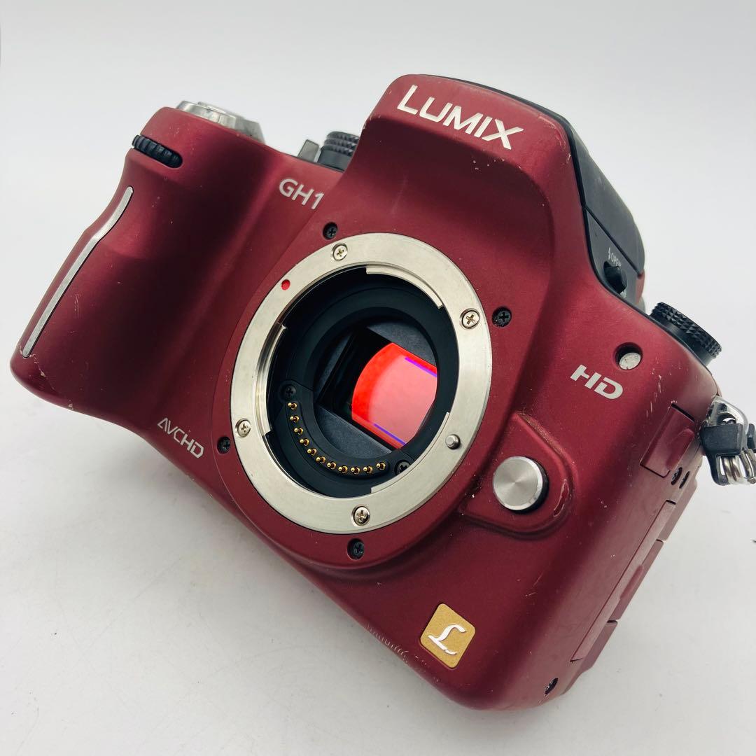 【動作確認済み】Panasonic LUMIX DMC-GH1 バッテリーなし