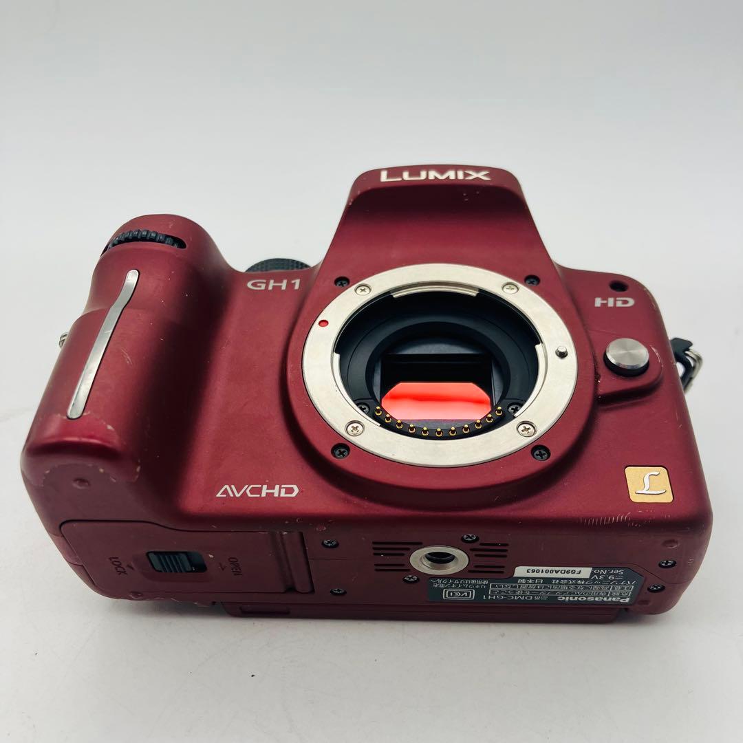 【動作確認済み】Panasonic LUMIX DMC-GH1 バッテリーなし