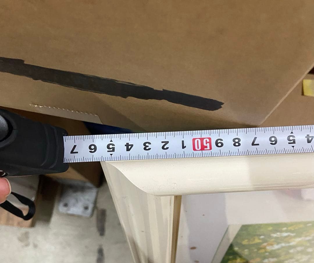 ■油彩■金謙伊■『黄色いコスモス』■額付絵画