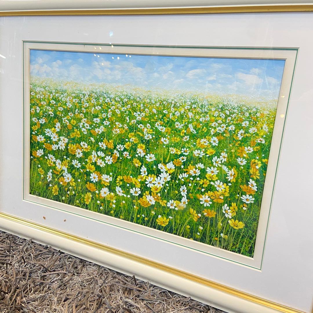 ■油彩■金謙伊■『黄色いコスモス』■額付絵画