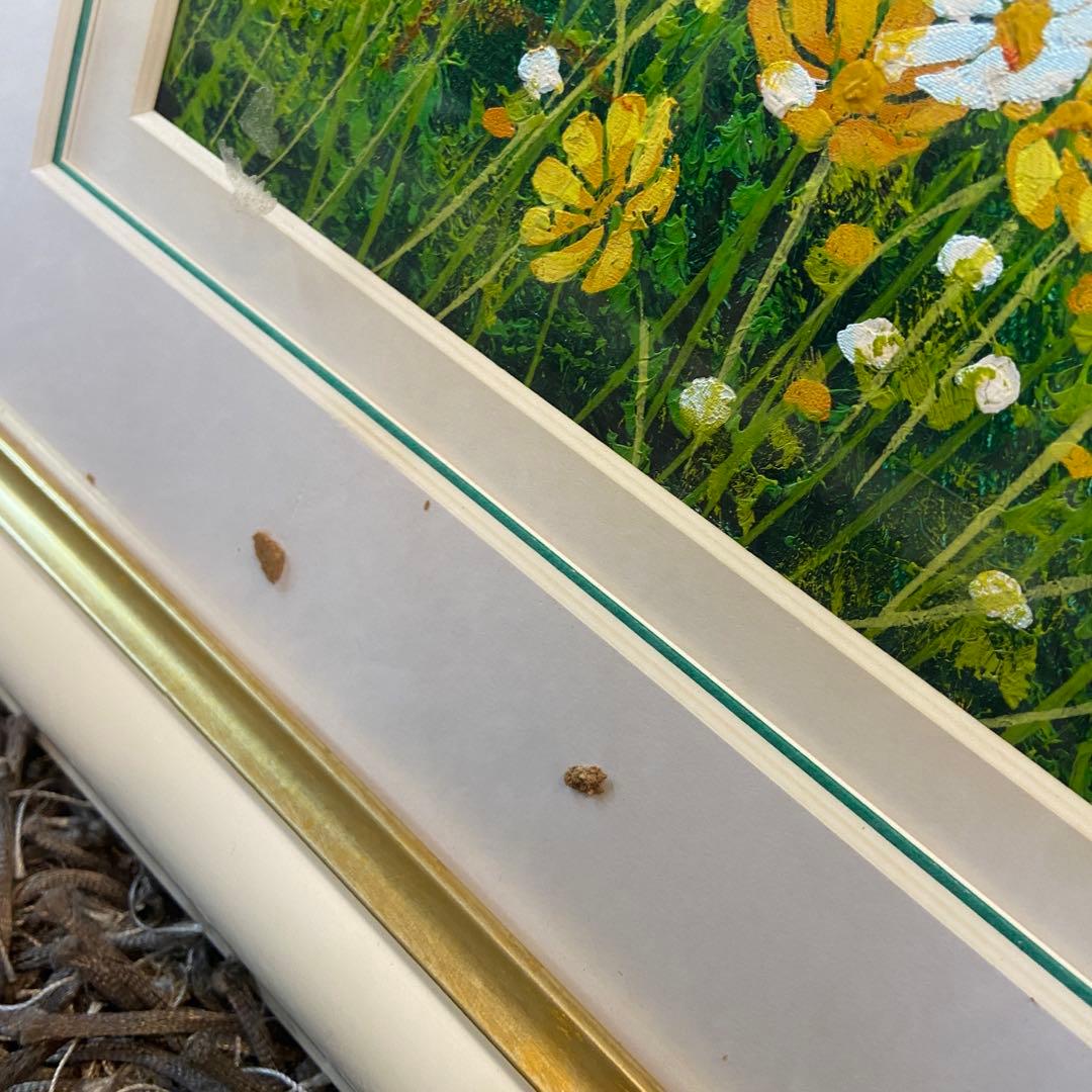 ■油彩■金謙伊■『黄色いコスモス』■額付絵画