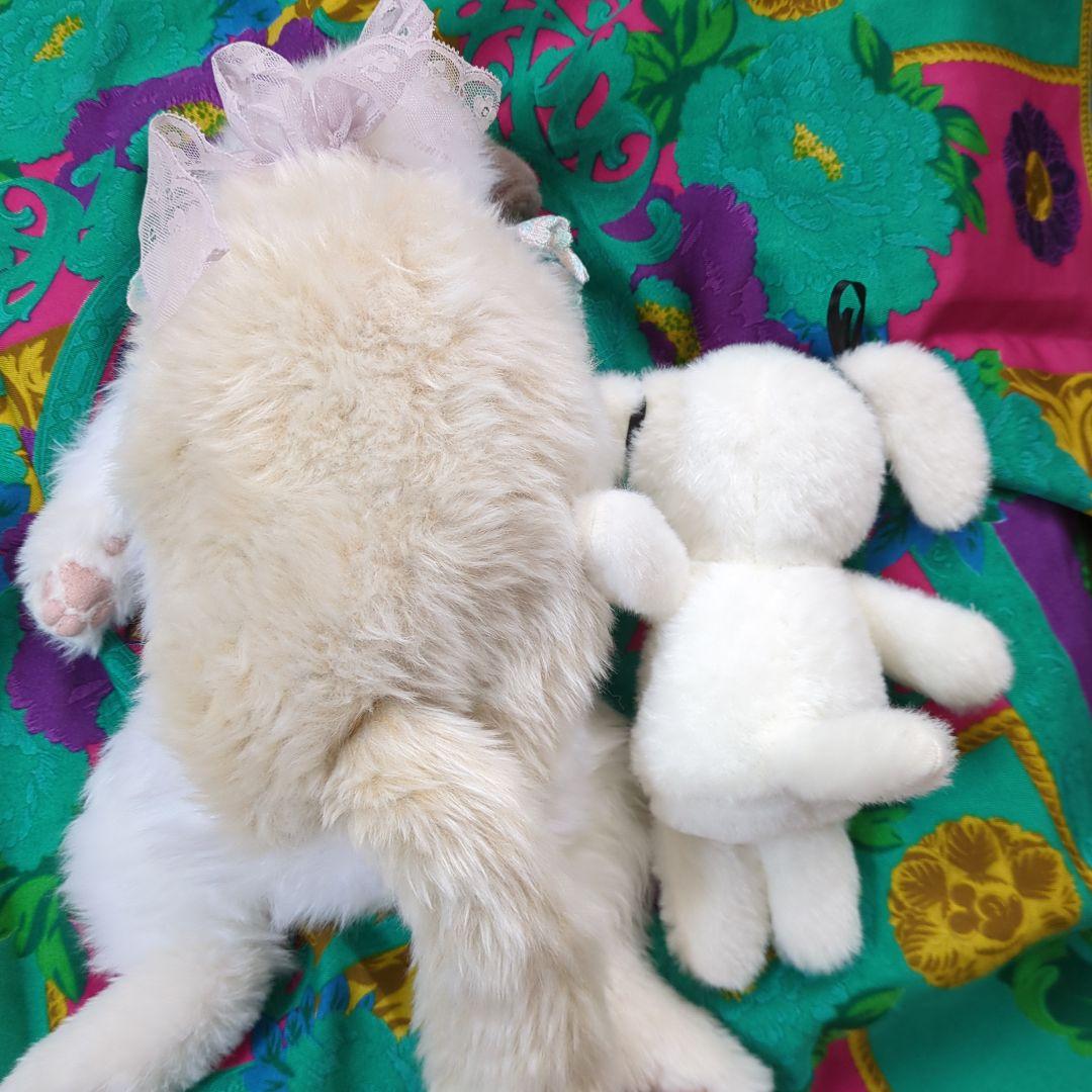 アートドール 作家 ハンドメイド 猫 ぬいぐるみ　アーティスト 犬