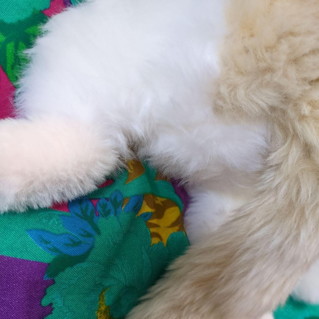 アートドール 作家 ハンドメイド 猫 ぬいぐるみ　アーティスト 犬