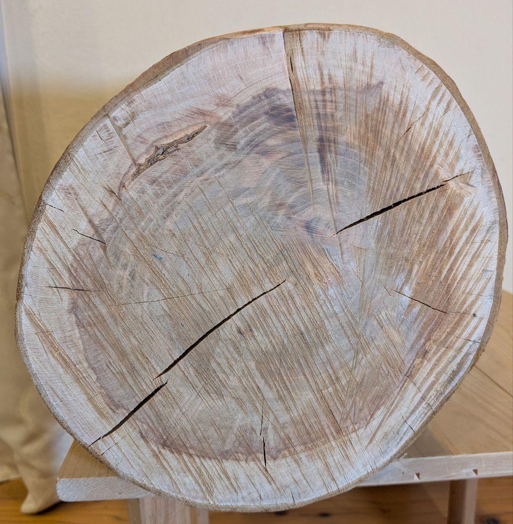 【極厚・桜】15.4kg 希少 枝分かれ 飾り台 二つの年輪 天然木 桜の丸太